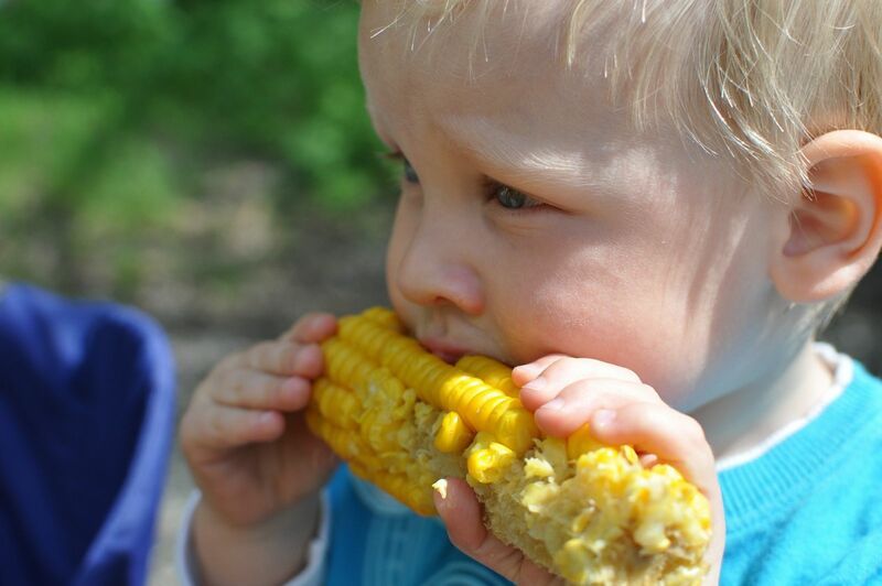A child eating an ear of corn